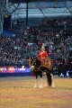 Cavalry - 00105